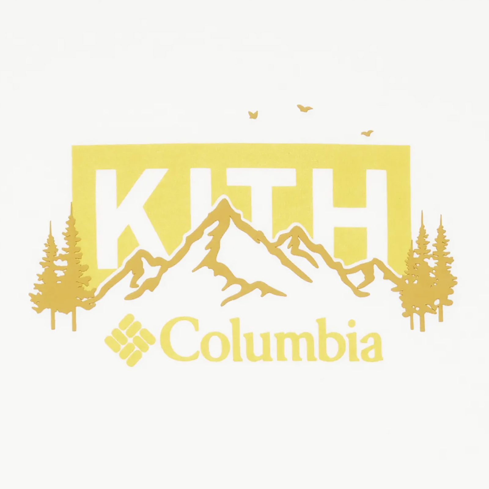 COLUMBIA LANDSCAPE CLASSIC LOGO T-SHIRT OPULENCE