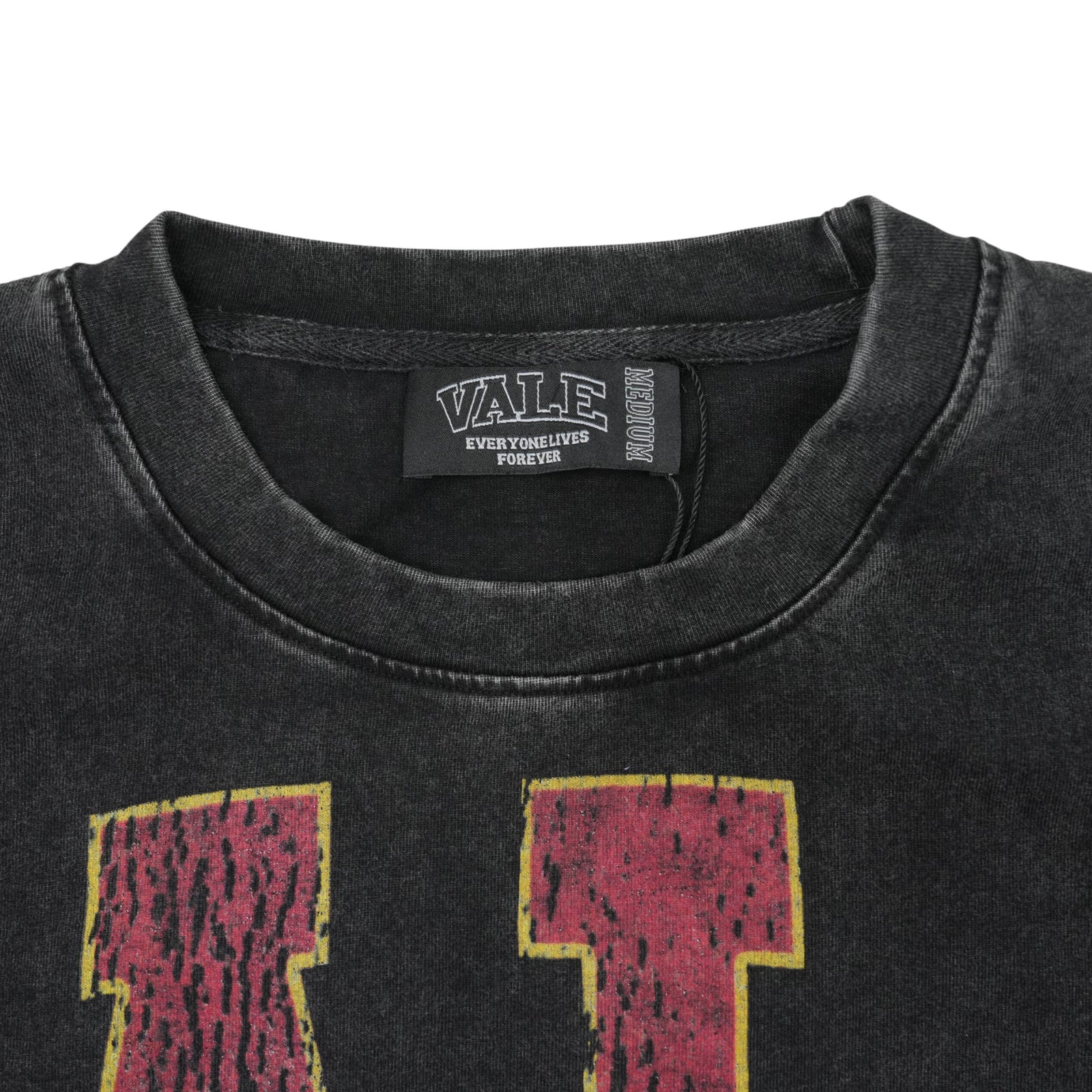 GATOR T-SHIRT VINTAGE BLACK