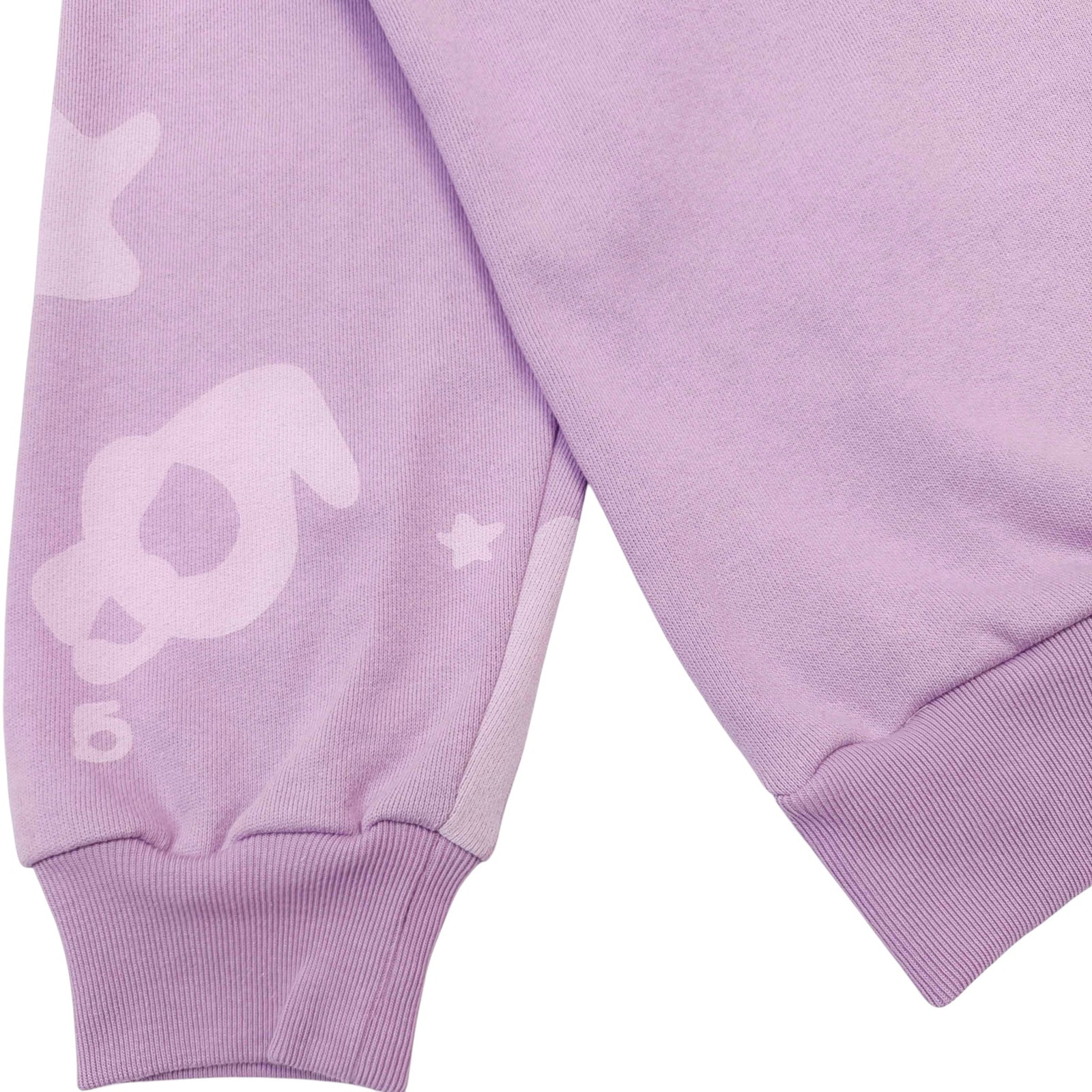 BELUGA V2 HOODIE SWEATSHIRT ACAI