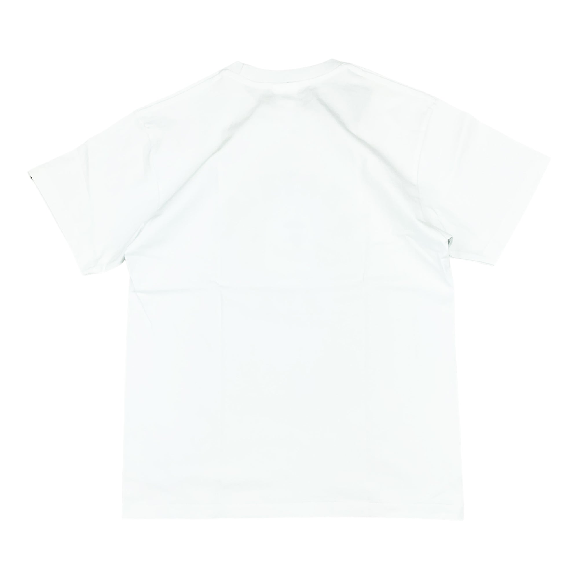 CHECK COLLEGE T-SHIRT WHITE MULTI BEIGE | A BATHING APE