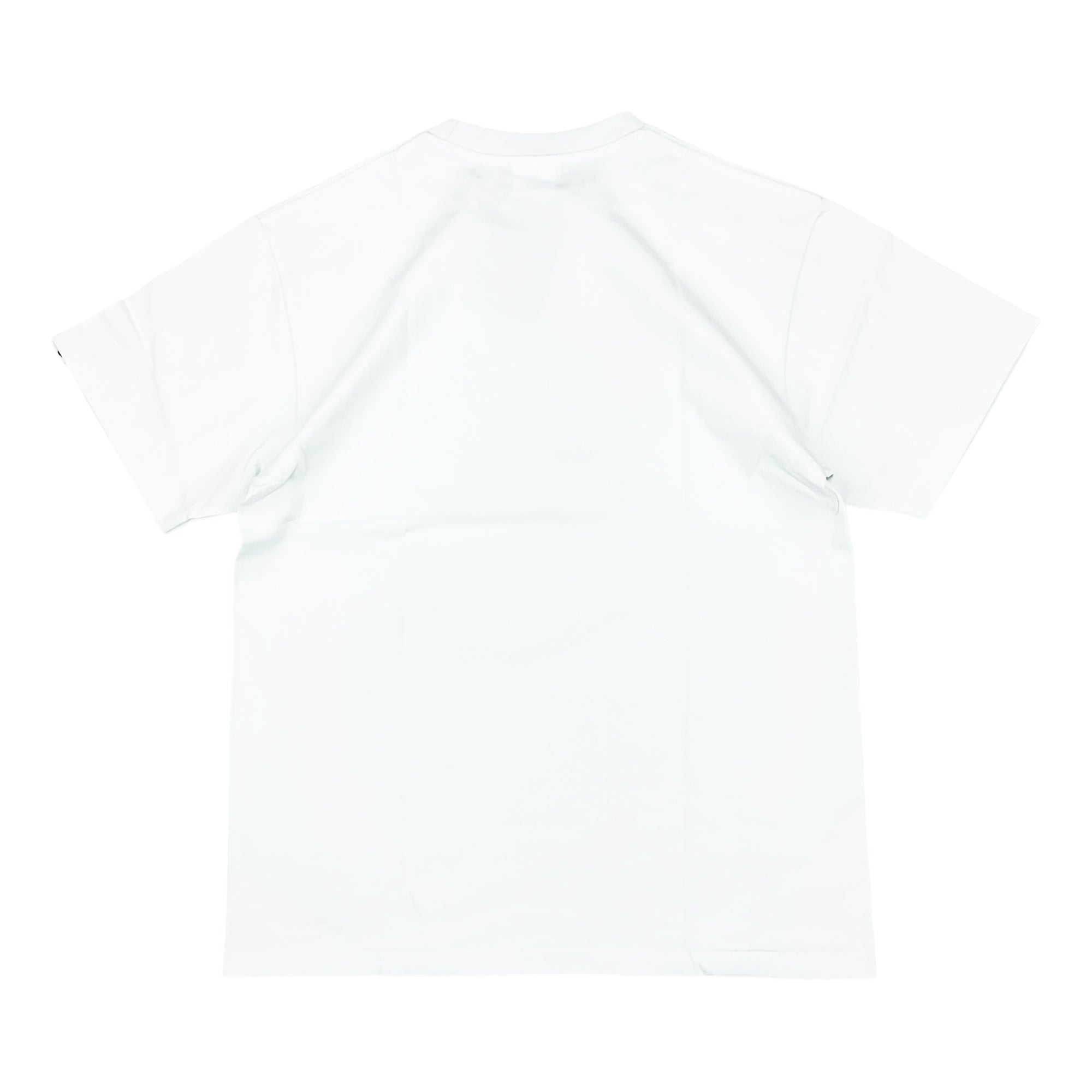 LOGO CHECK COLLEGE T-SHIRT WHITE BLUE | A BATHING APE