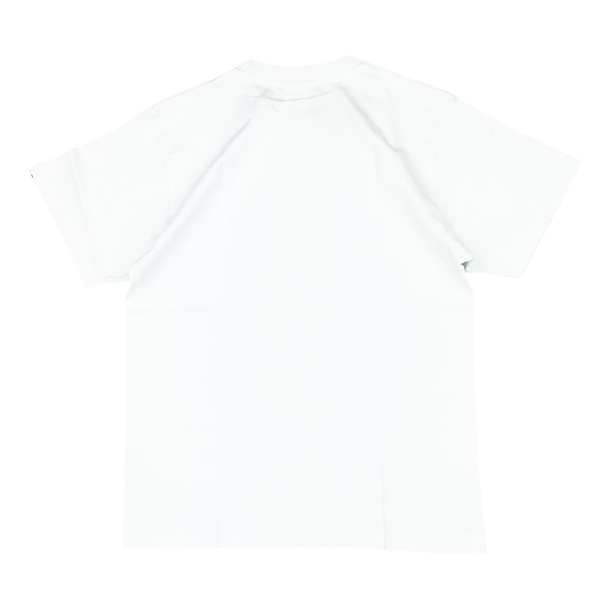 LOGO CHECK COLLEGE T-SHIRT WHITE RED | A BATHING APE