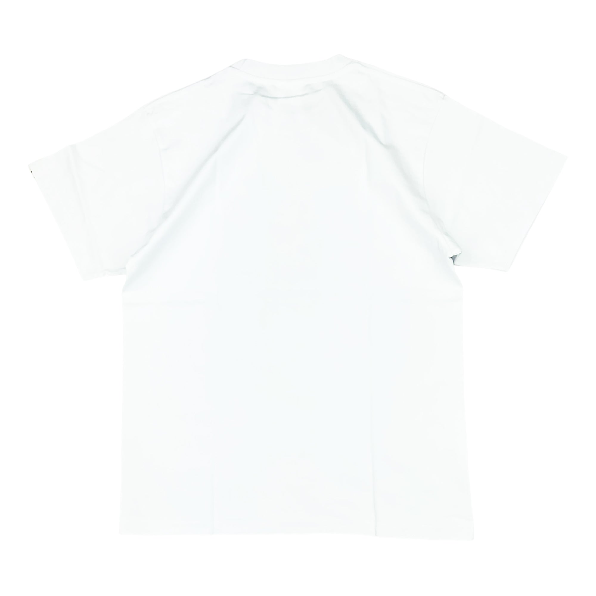 LOGO CHECK COLLEGE T-SHIRT WHITE RED | A BATHING APE