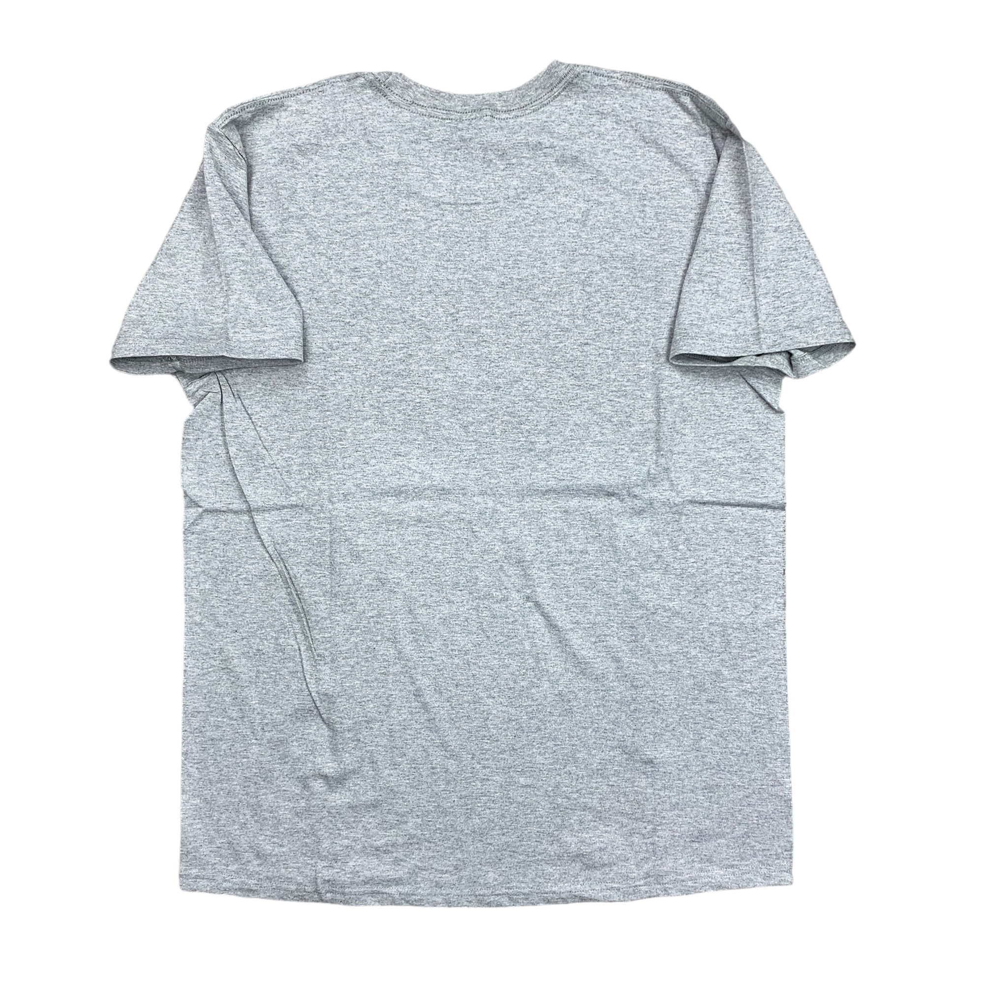 DOLLAR T-SHIRT HEATHER GREY (FW17)