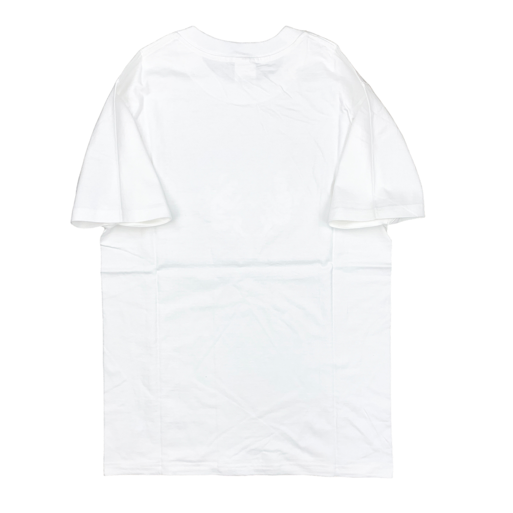 FUCK THE PRESIDENT T-SHIRT WHITE (SS17)