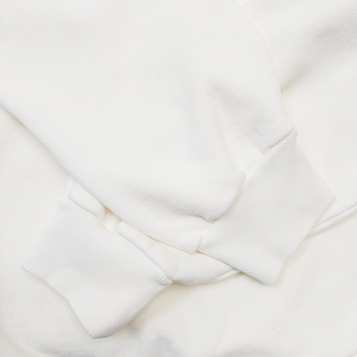 MARIAH THE SCIENTIST SCORPION HOODIE SWEATSHIRT