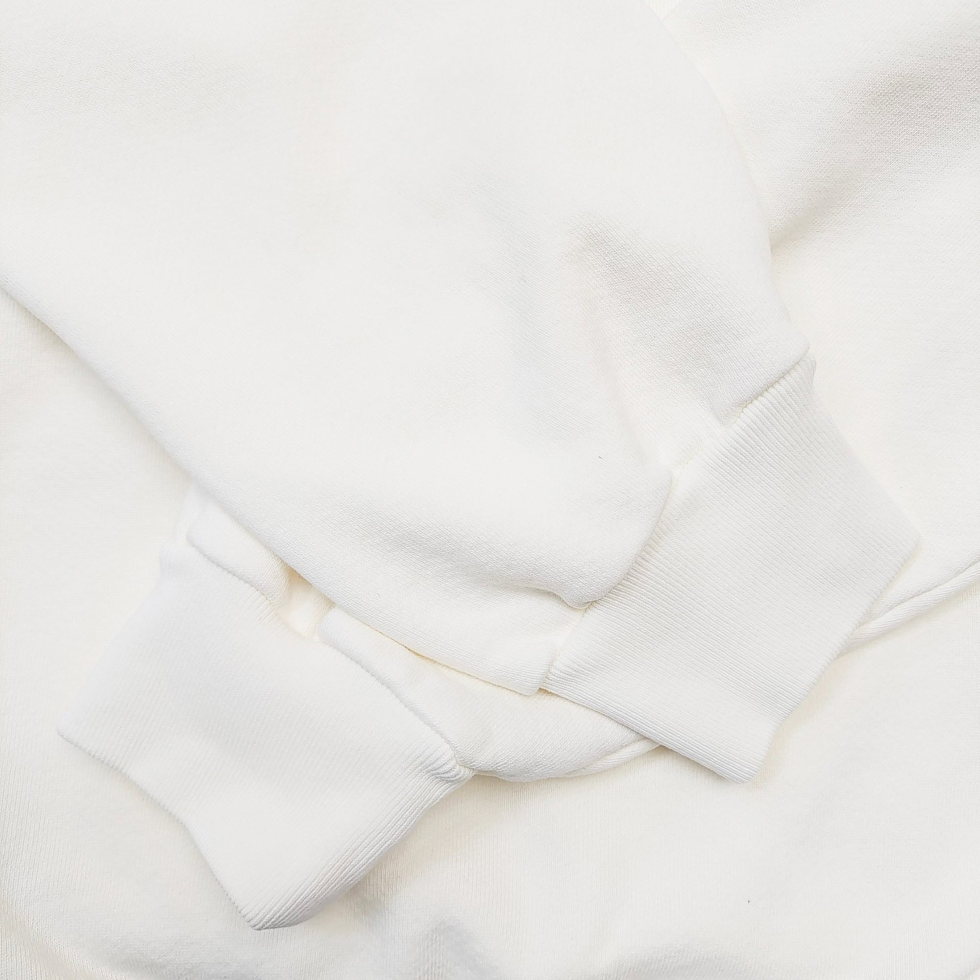 MARIAH THE SCIENTIST SCORPION HOODIE SWEATSHIRT