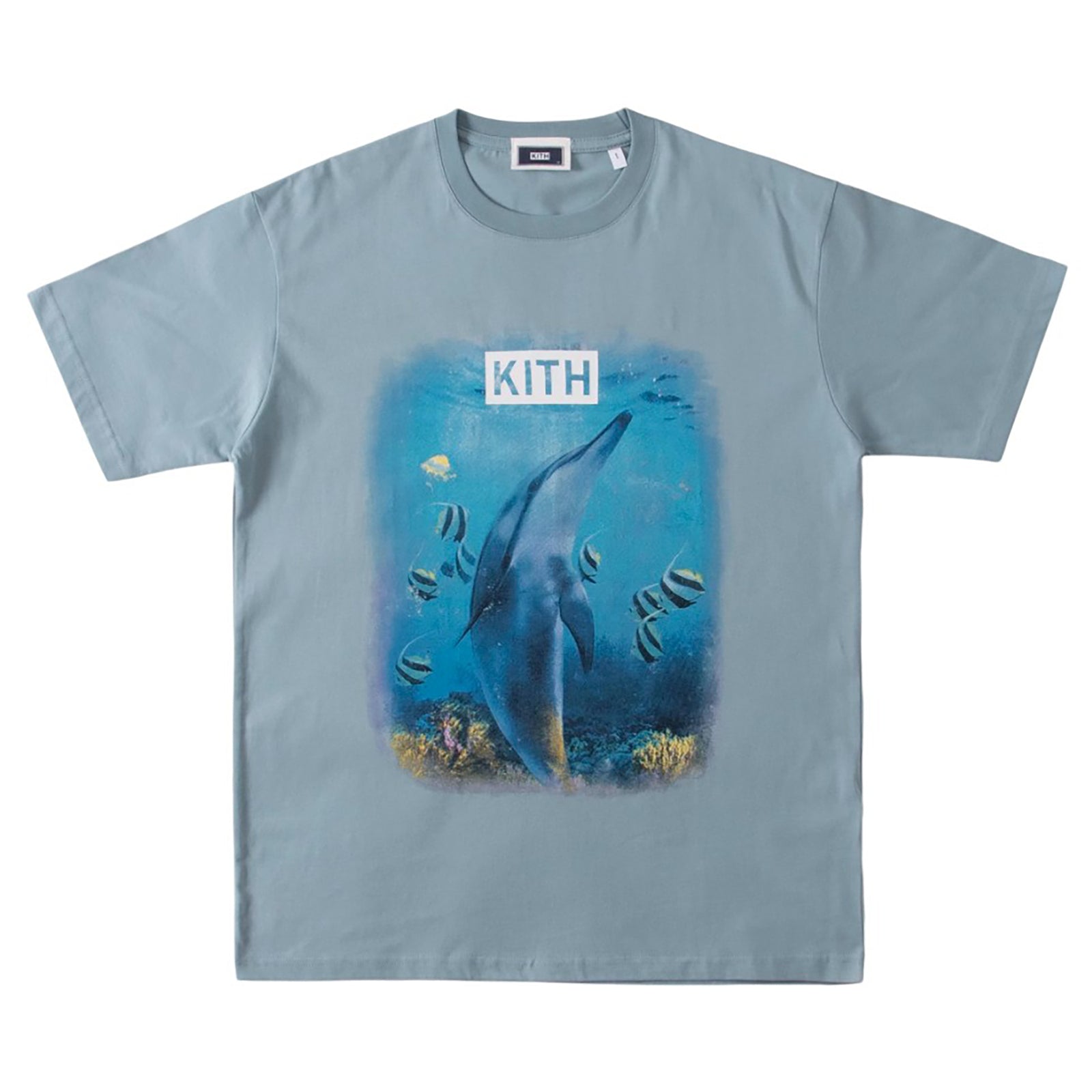 UNDERWATER DOLPHIN VINTAGE T-SHIRT BLUE