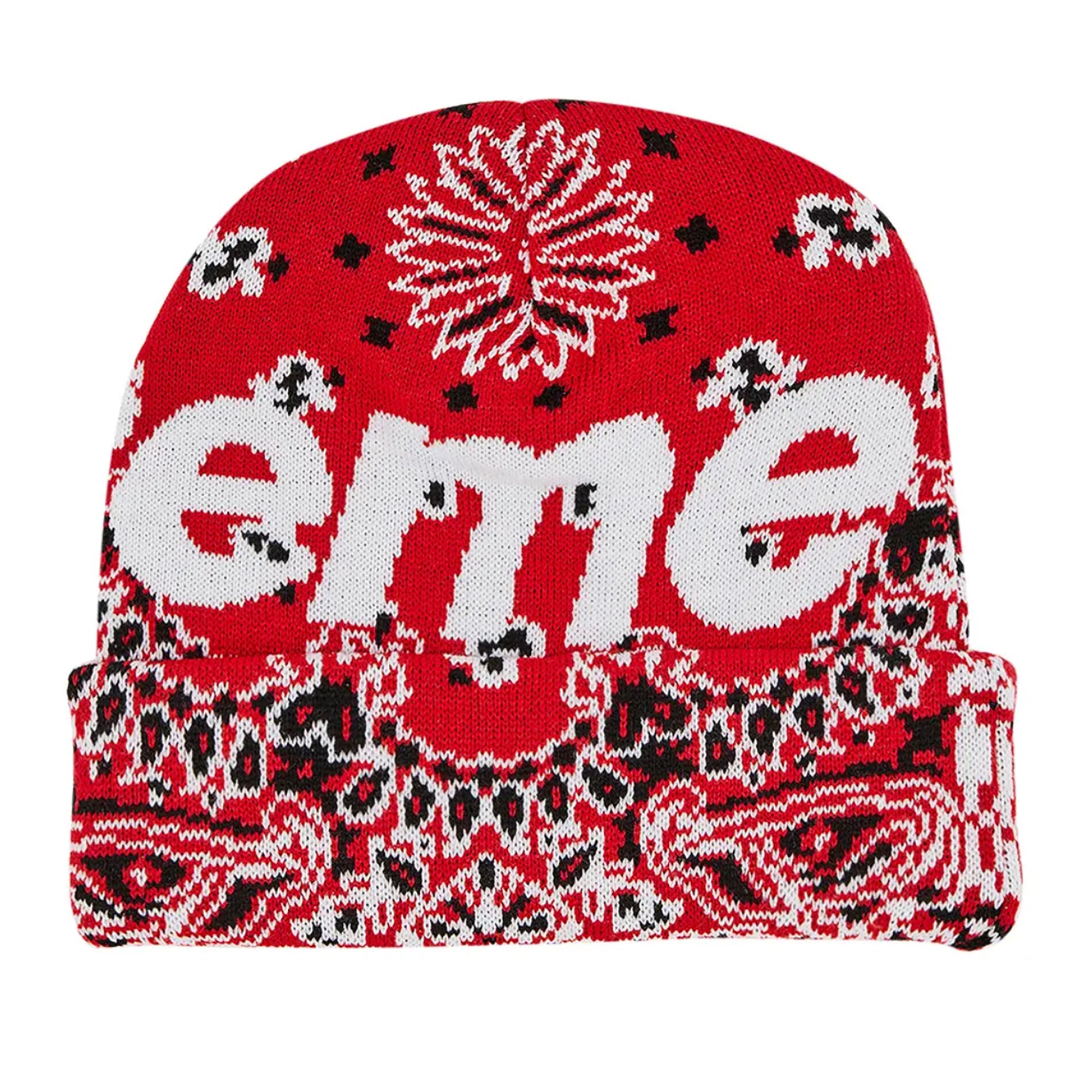 BANDANA BIG LOGO BEANIE RED (FW24)