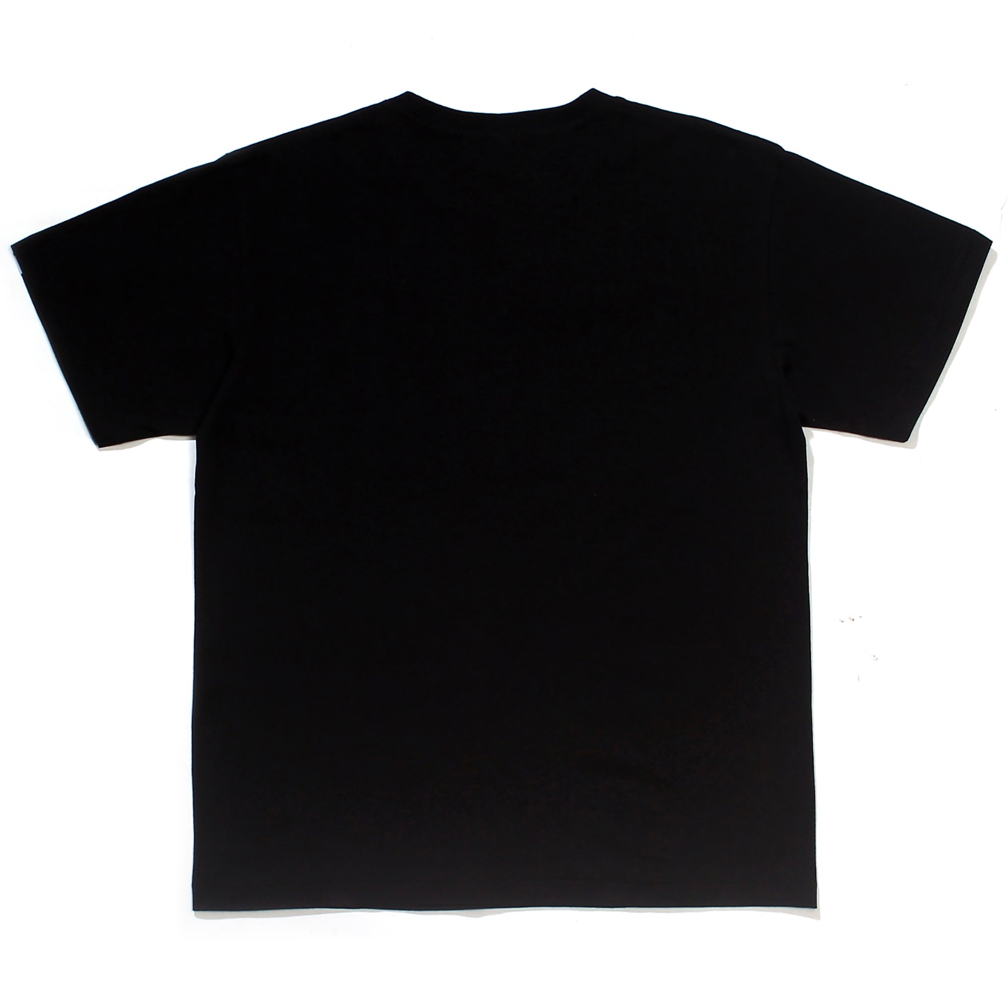 COLOR CAMO COLLEGE T-SHIRT BLACK NAVY | A BATHING APE
