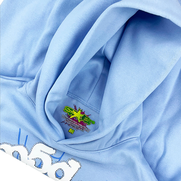 WEBFW22SKYBLUEHOODIE_W_3_600x.